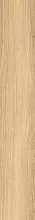 Mountain Ash Gold Str 19x119.8