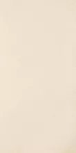 Arkesia Bianco Poler 29.8x59.8