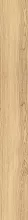 Mountain Ash Gold Str 23x179.8