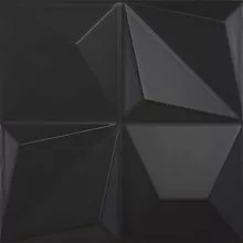 Shapes #1 Multishapes Black Mat 25x25